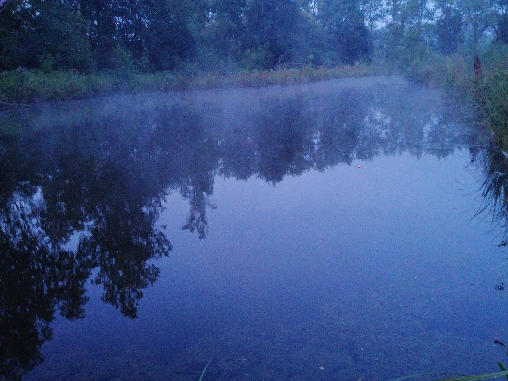 Hirschenwirtweiher angeln