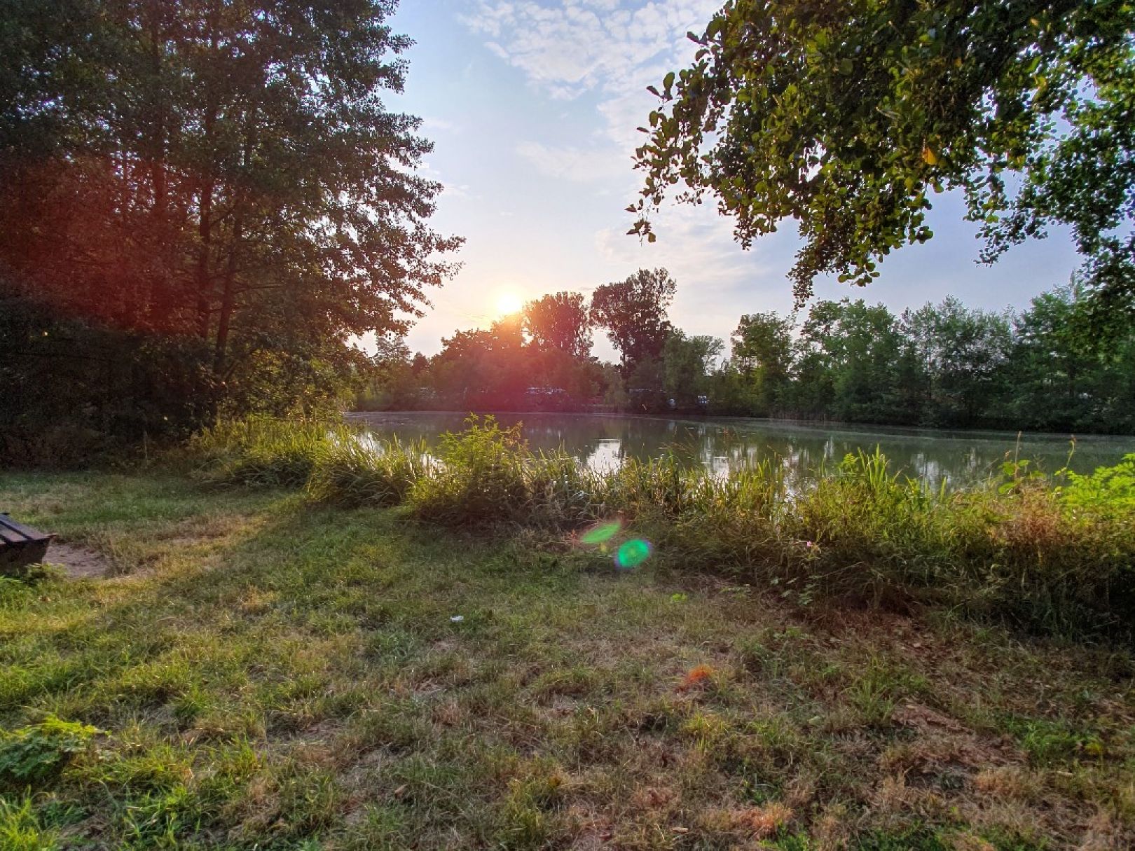 Kaltbadweiher (Bad Windsheim) angeln