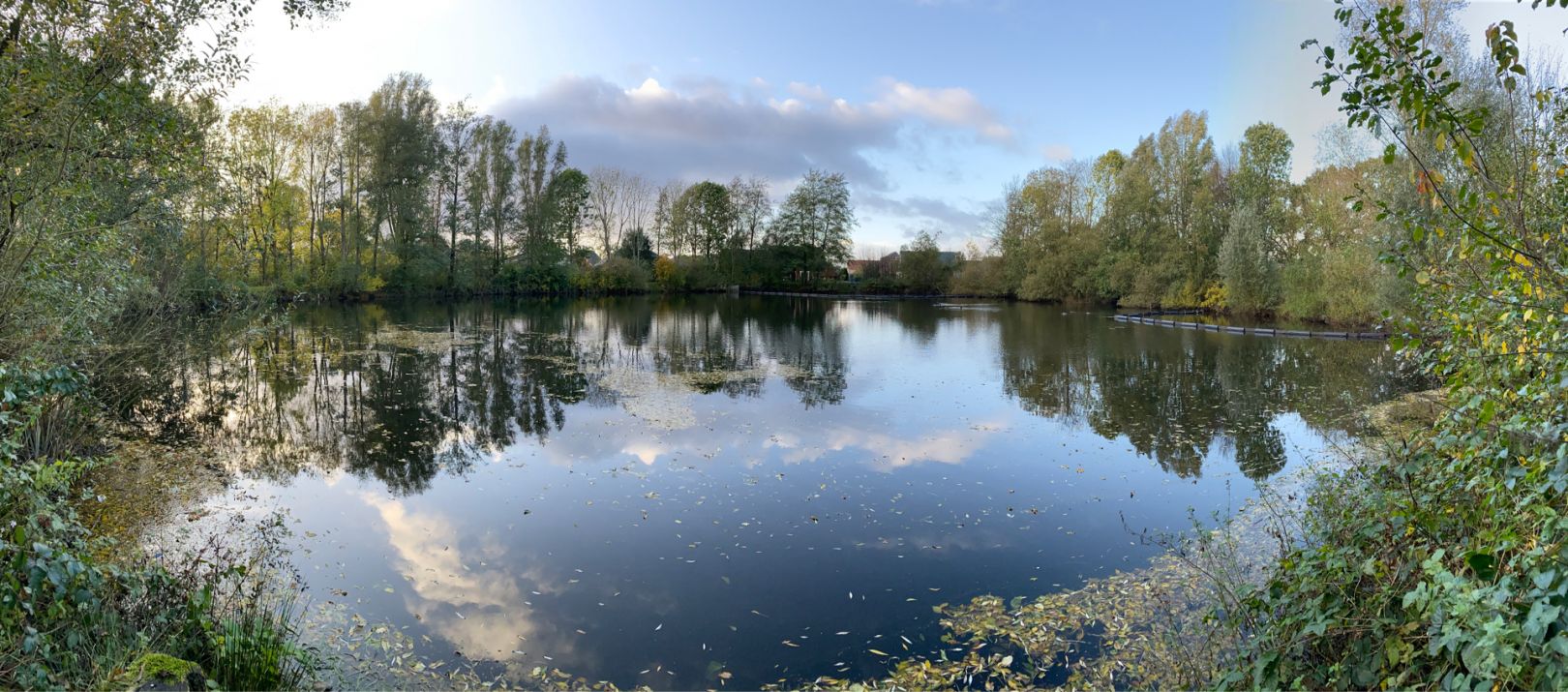 Teich am Krückauring angeln