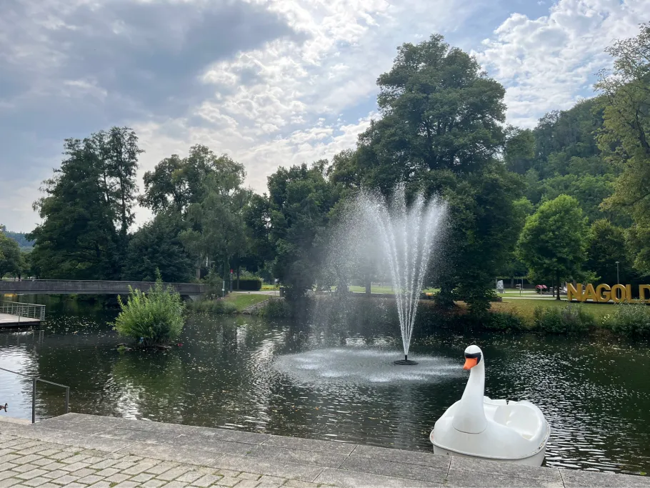 Nagold (Nagold) angeln