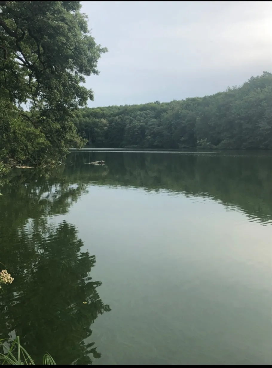 Hammersee (Siehdichum) angeln