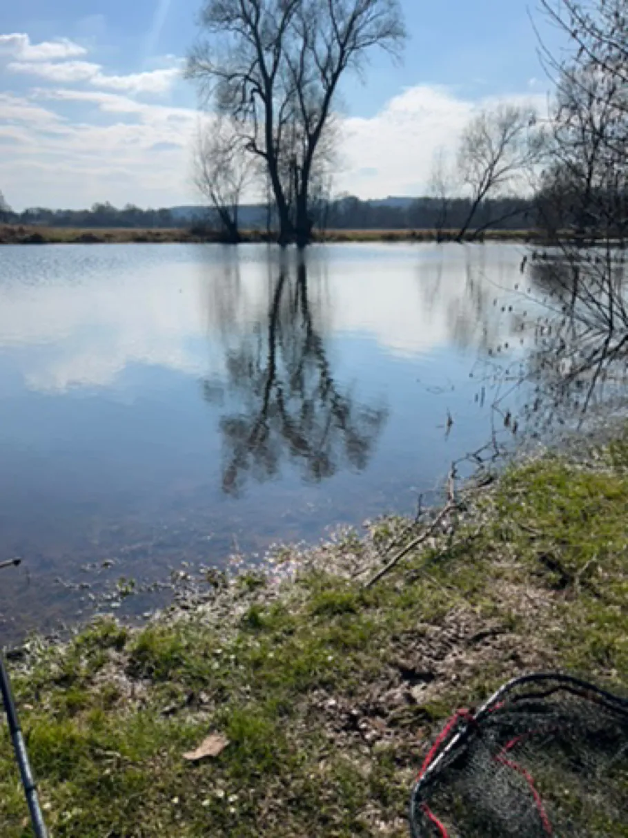 Panzergraben (Blieskastel - Lautzkirchen) angeln