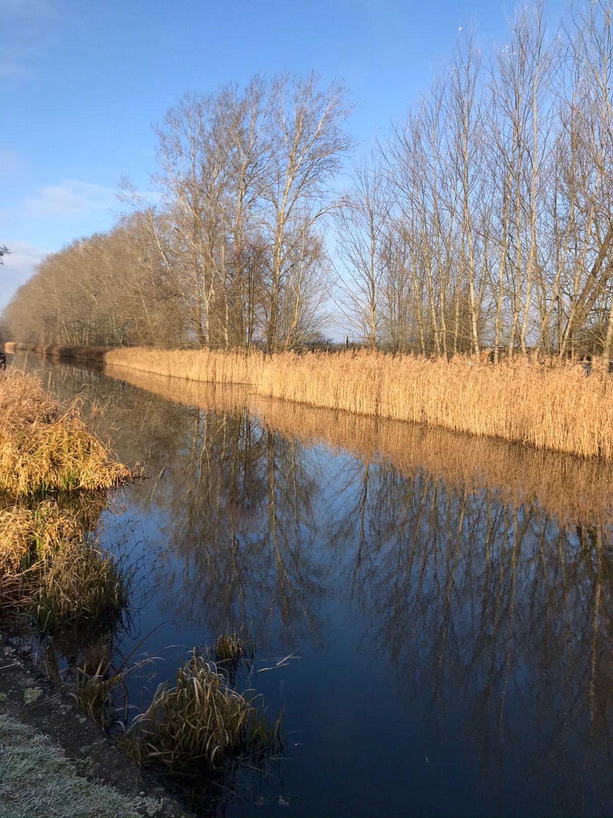 Ruppiner Kanal (Kremmen) angeln