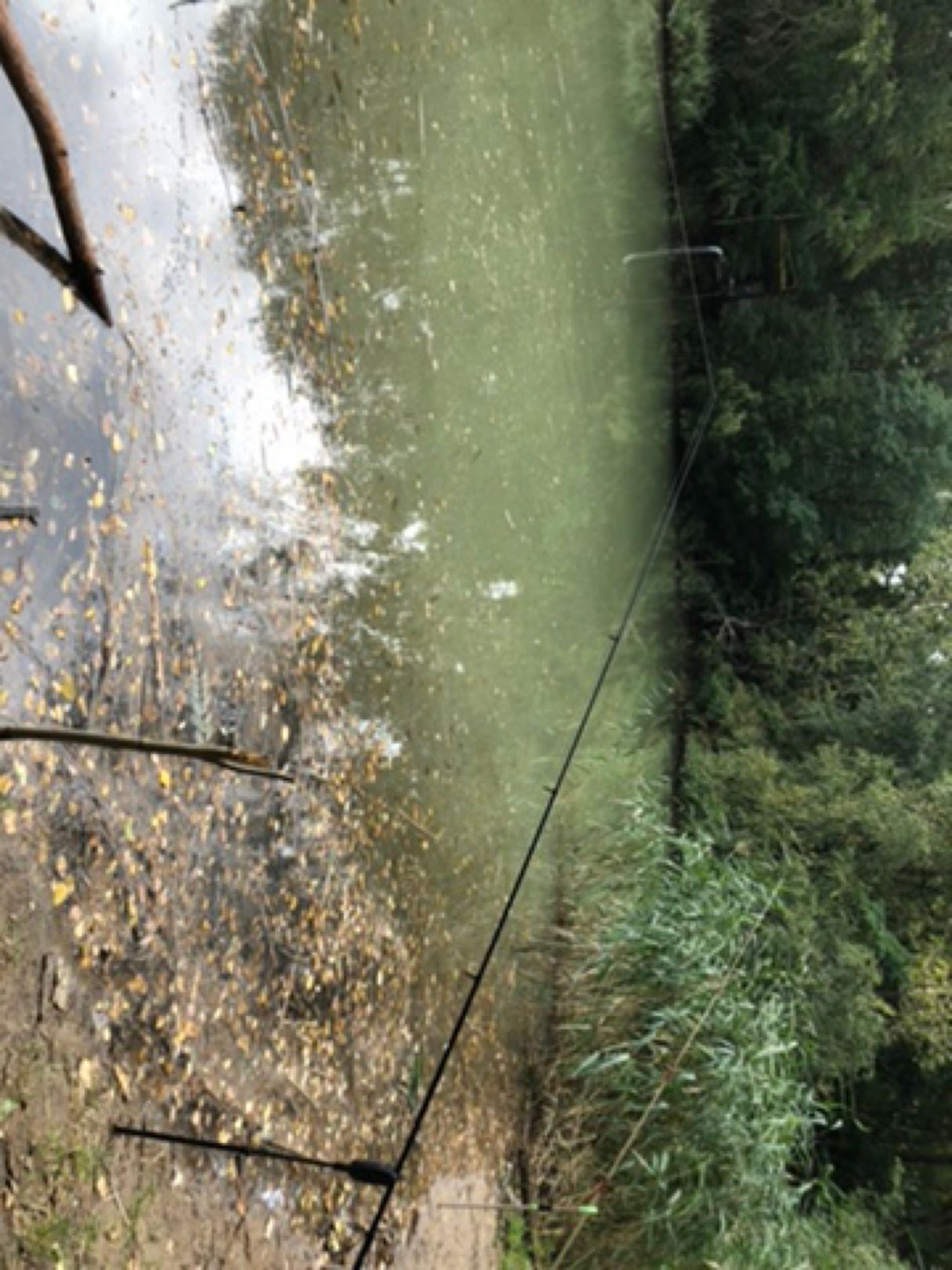 Rückhaltebecken Nudersdorf angeln