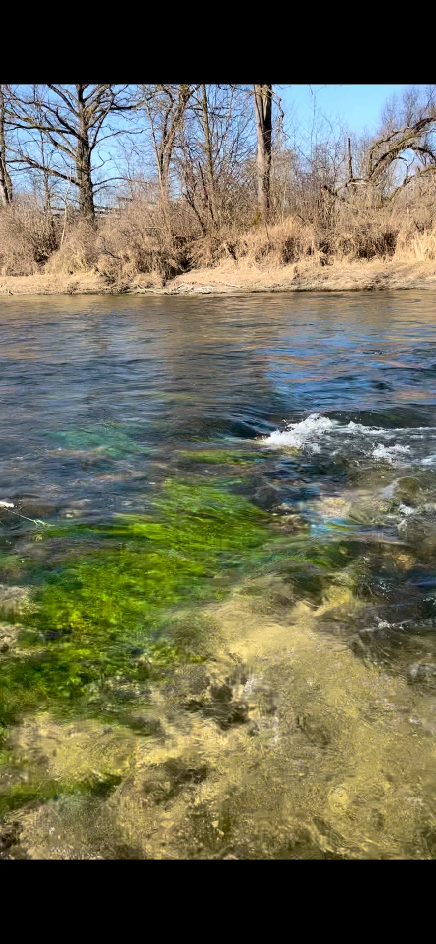 Amper (Haimhausen) angeln