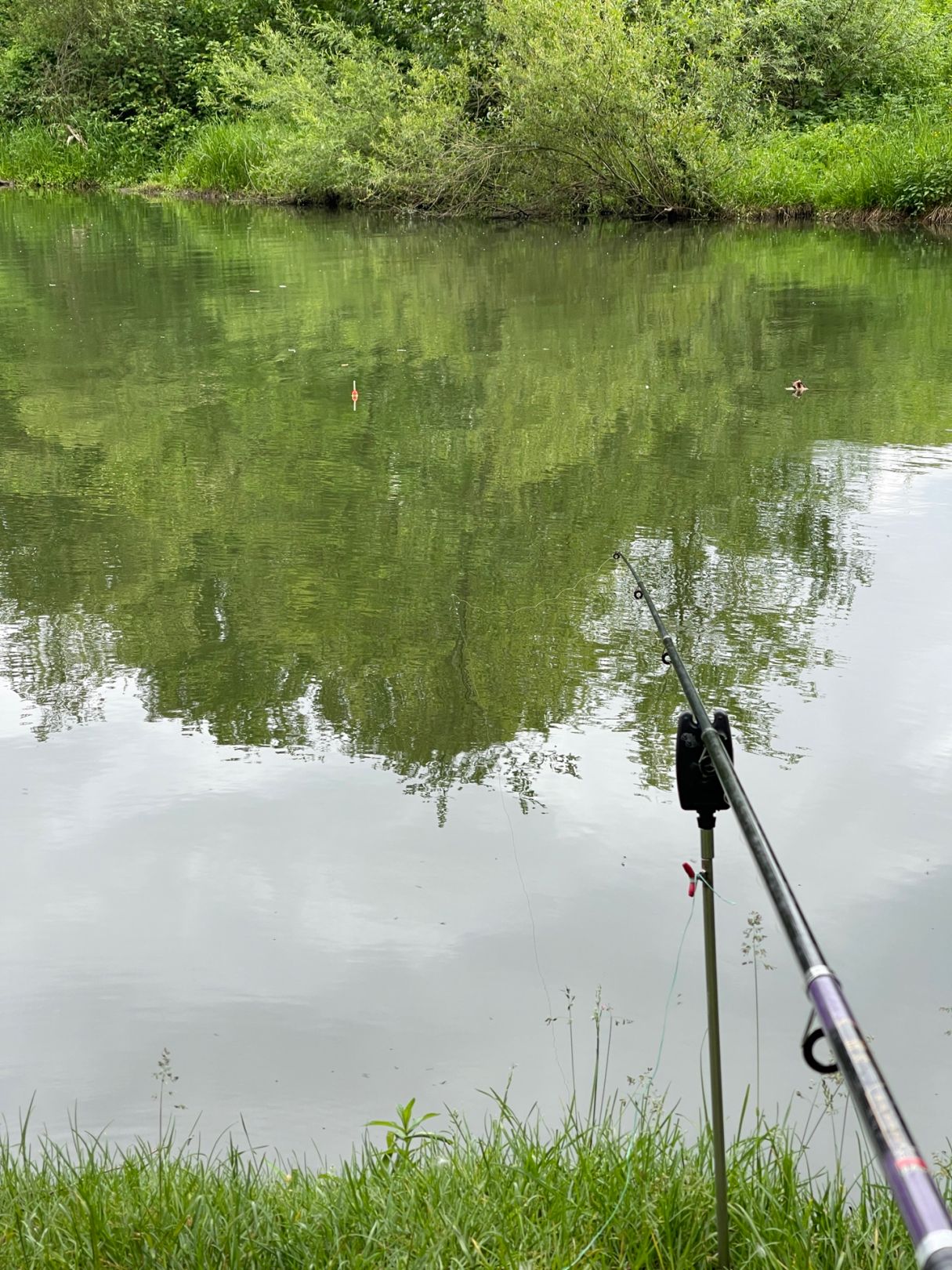 Bucher Stausee angeln