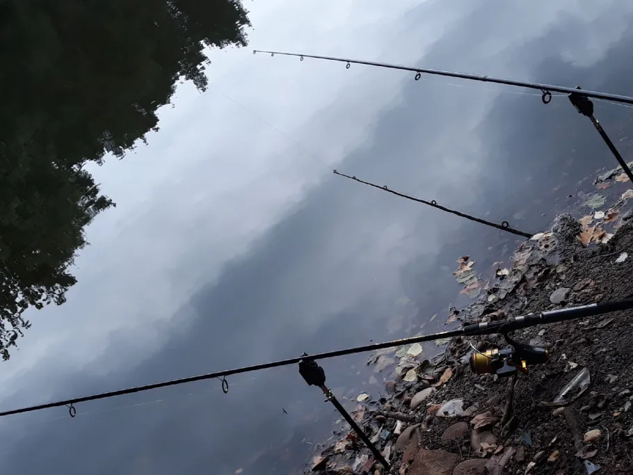 Inselgrube Skaska angeln