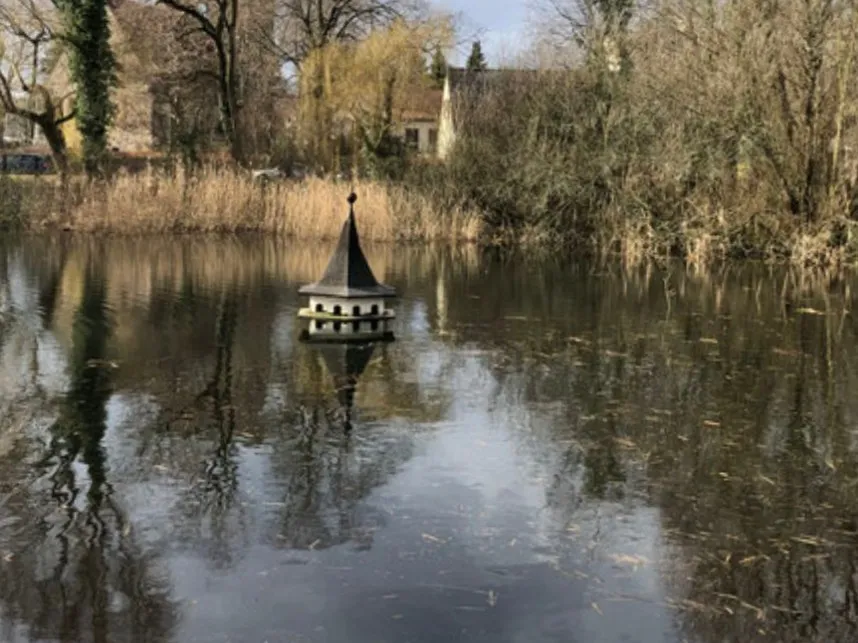 Dorfteich Bretwisch angeln