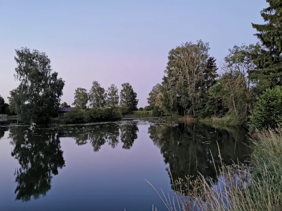 Hüttenweiher (FV Aislingen) angeln