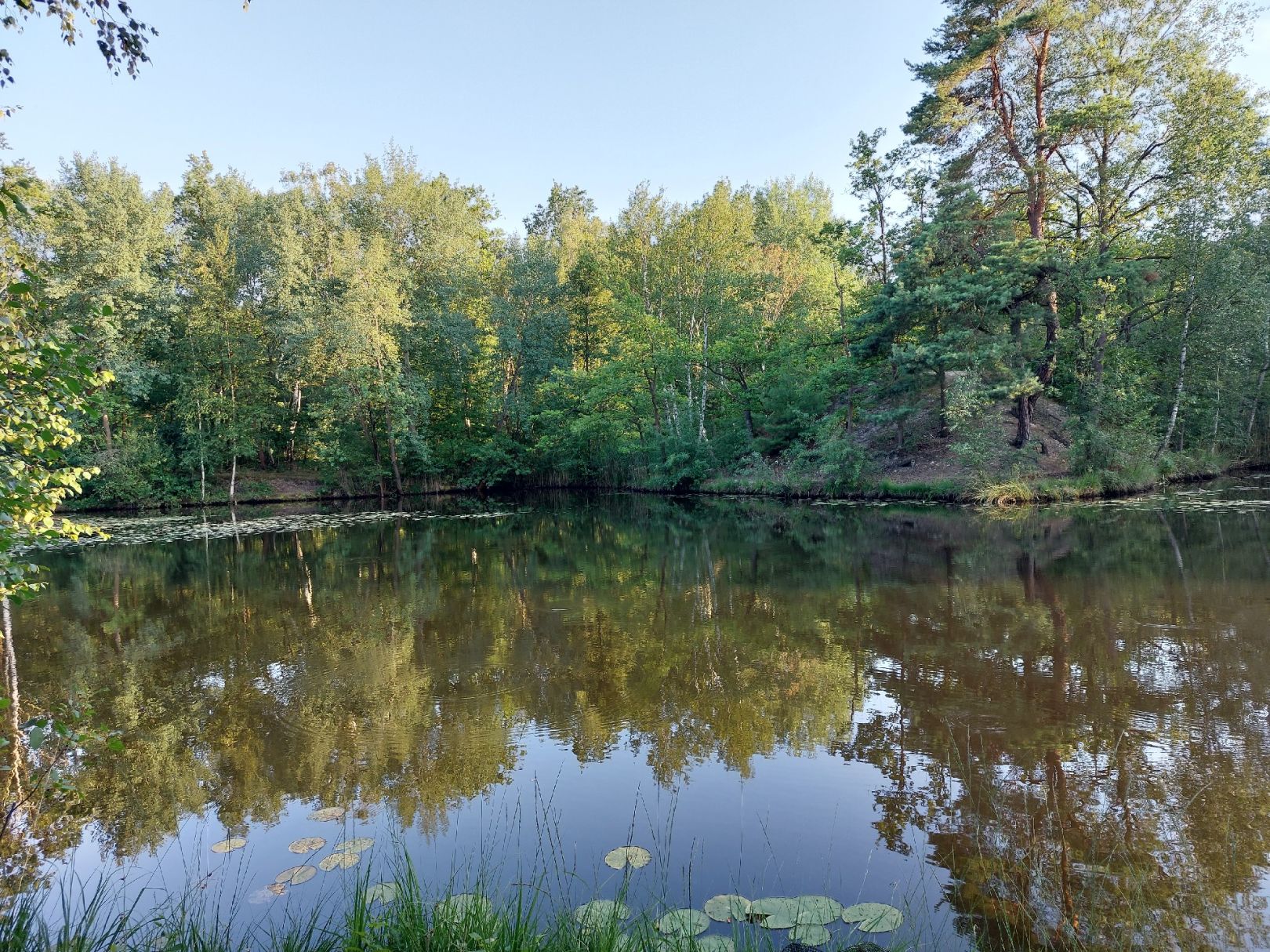 Bruchmühlenteiche (Groß Kölzig) angeln