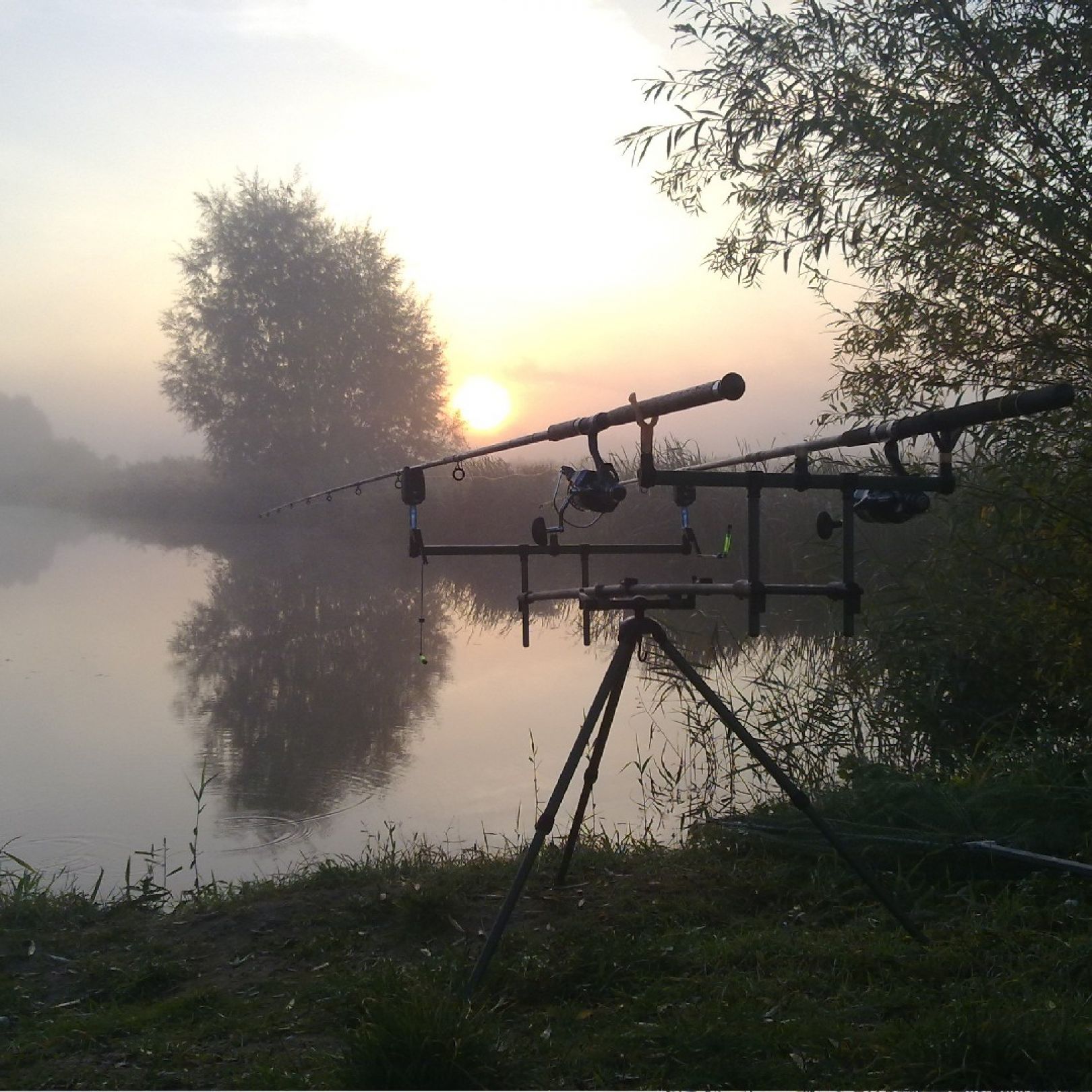 Riedsee (Geratal Kies) angeln