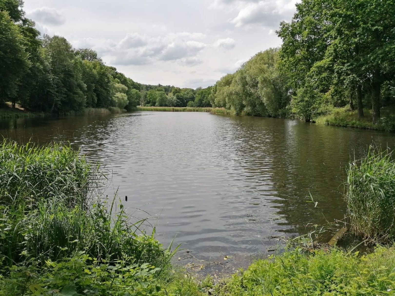 Mühlenteich (Bodendorf) angeln