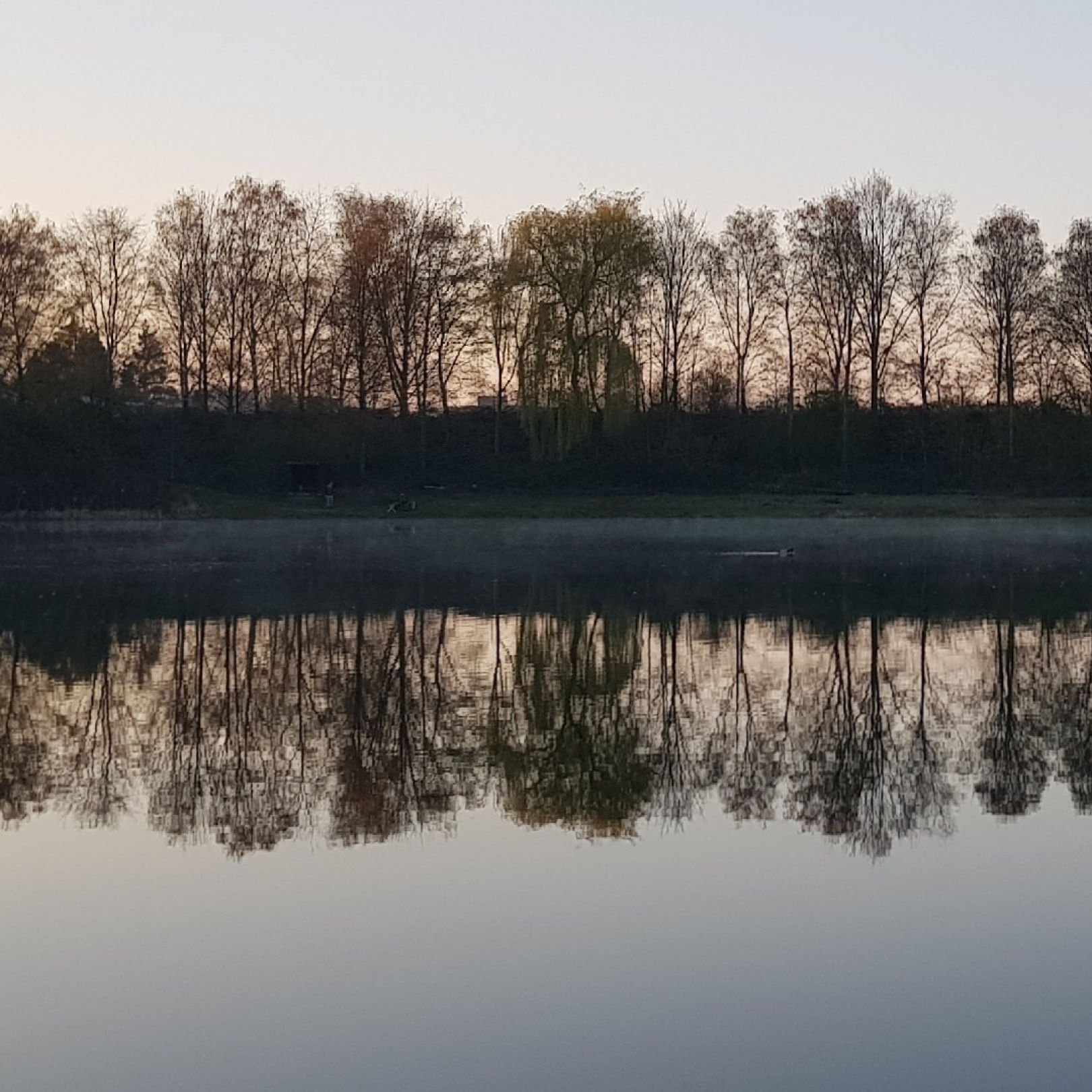 Bahnsee (Langenfeld) angeln
