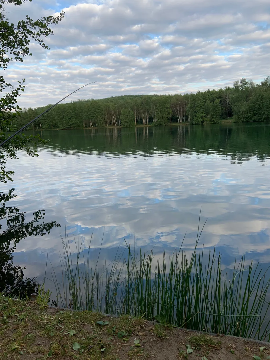 Rossenrayer See angeln