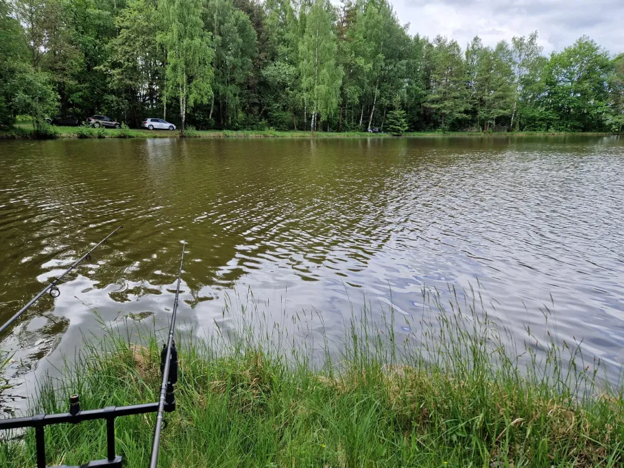 Grimmsteich (Selb) angeln