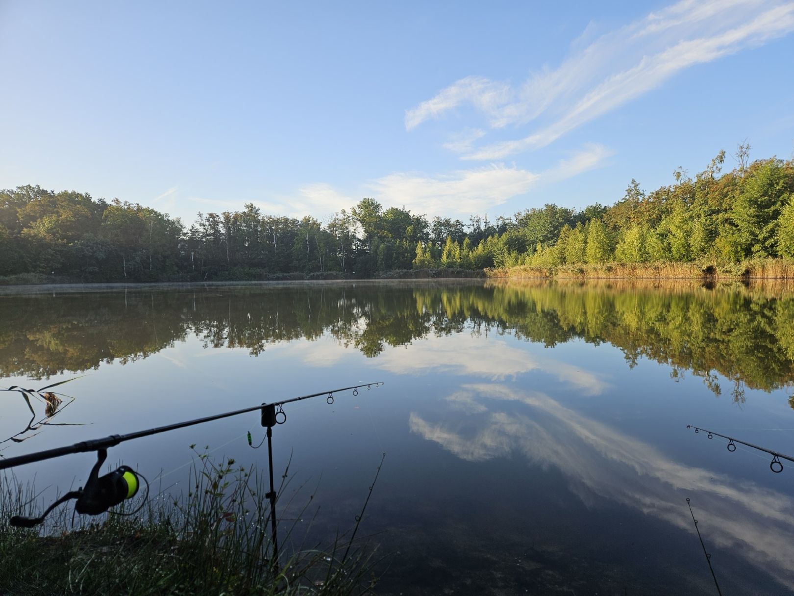 Germaniateich (Hosena) angeln
