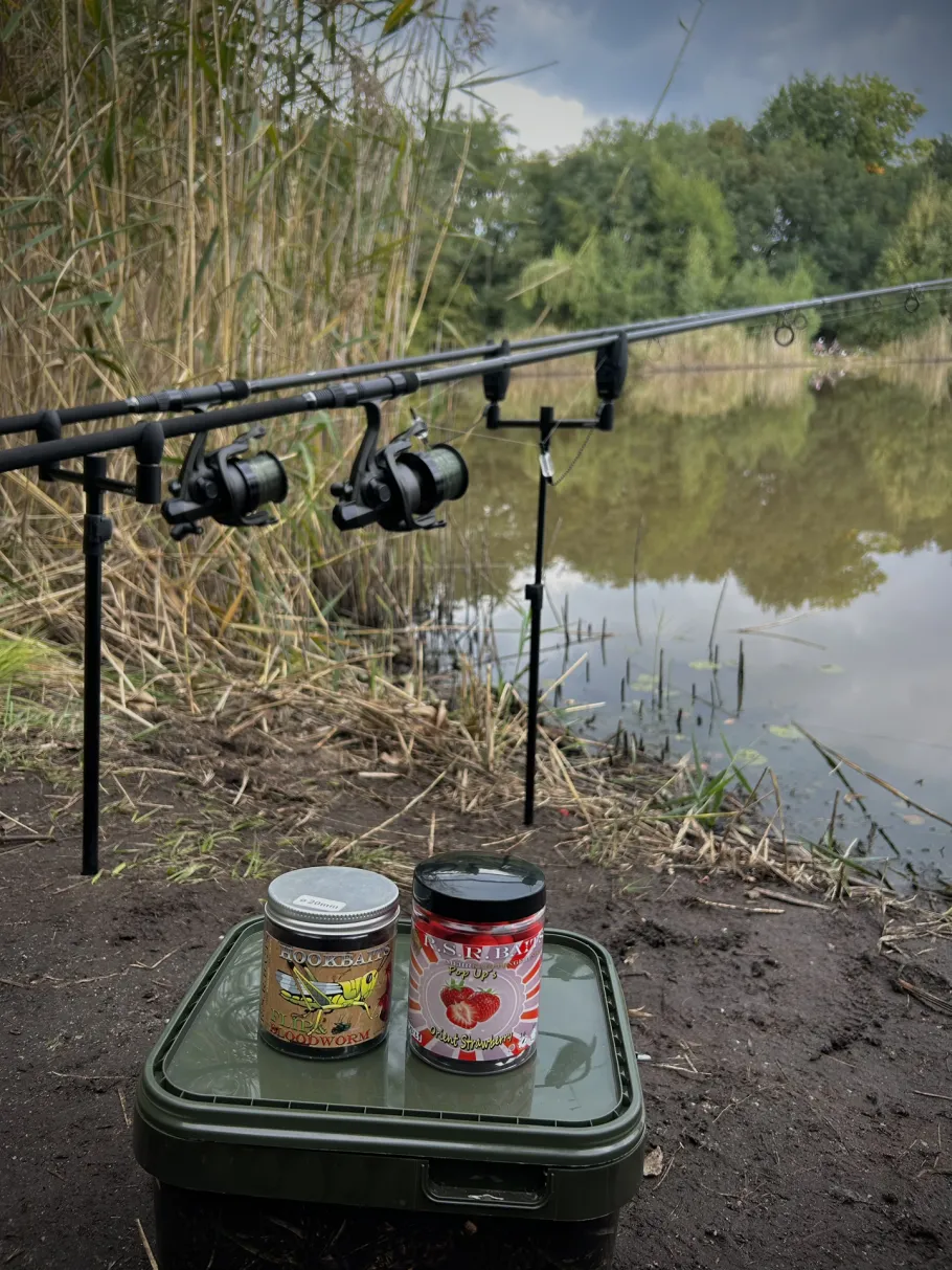 Germaniateich (Hosena) angeln