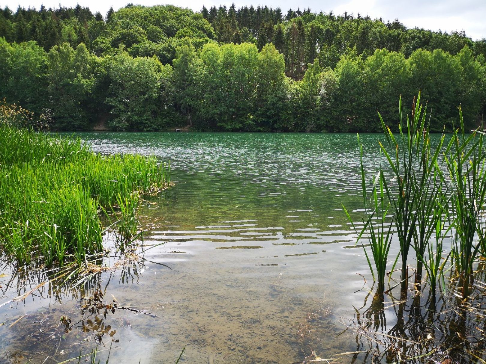 Freilinger See angeln