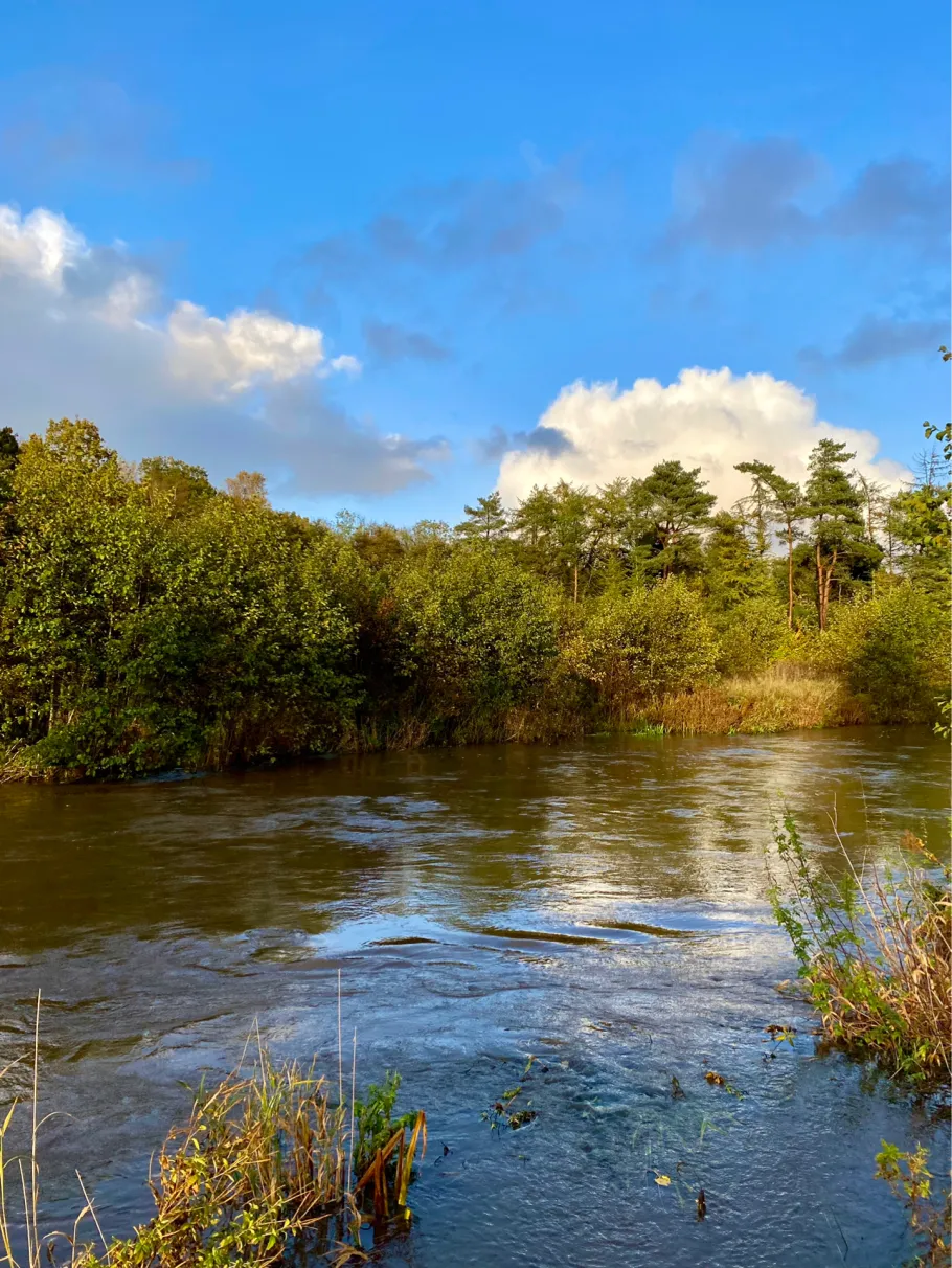 Vejle River angeln