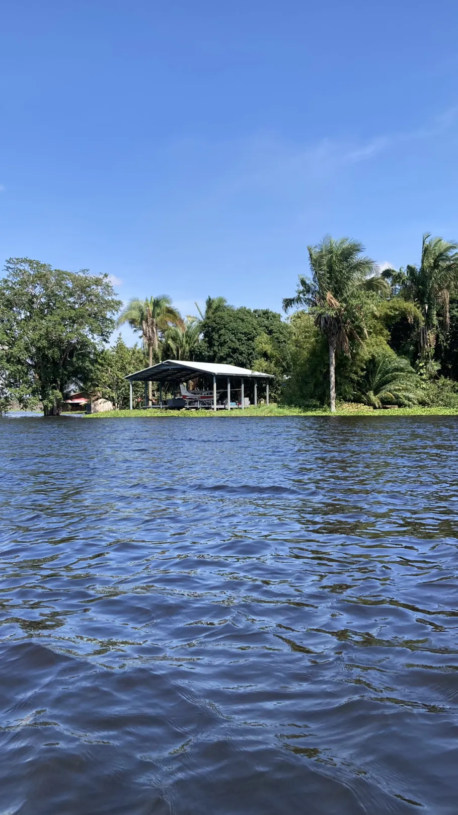 Laguna Cachivococha (Pucallpa) angeln