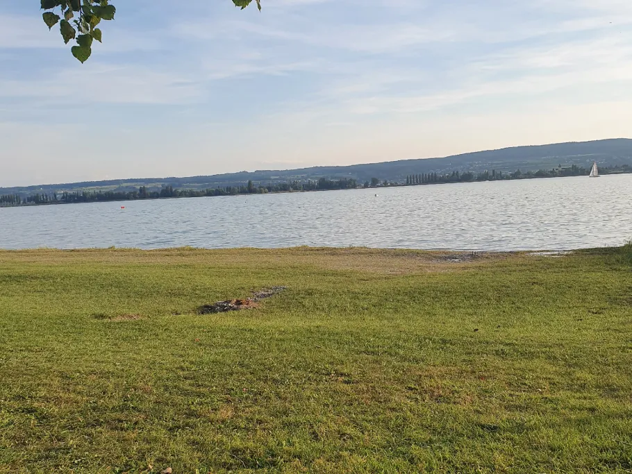 Gnadensee (Konstanz) angeln