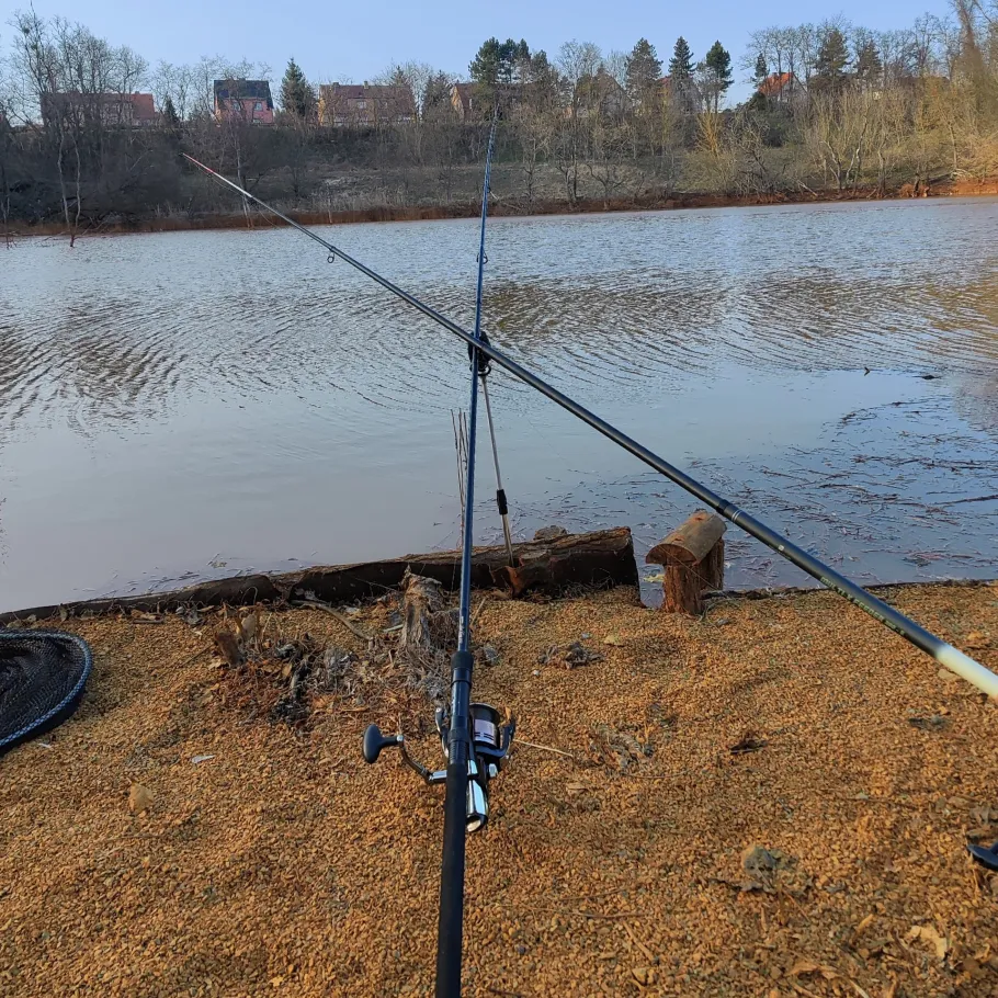 Luthers Linde (Muldenstein) angeln