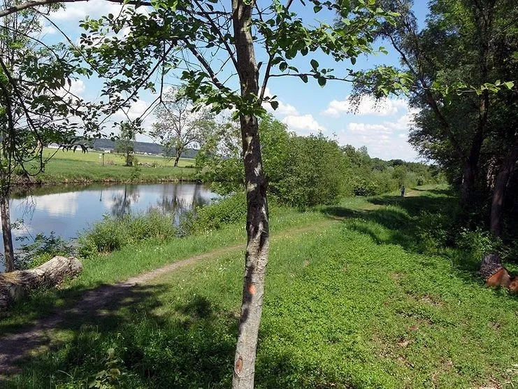 Wertach (Bad Wörishofen) angeln