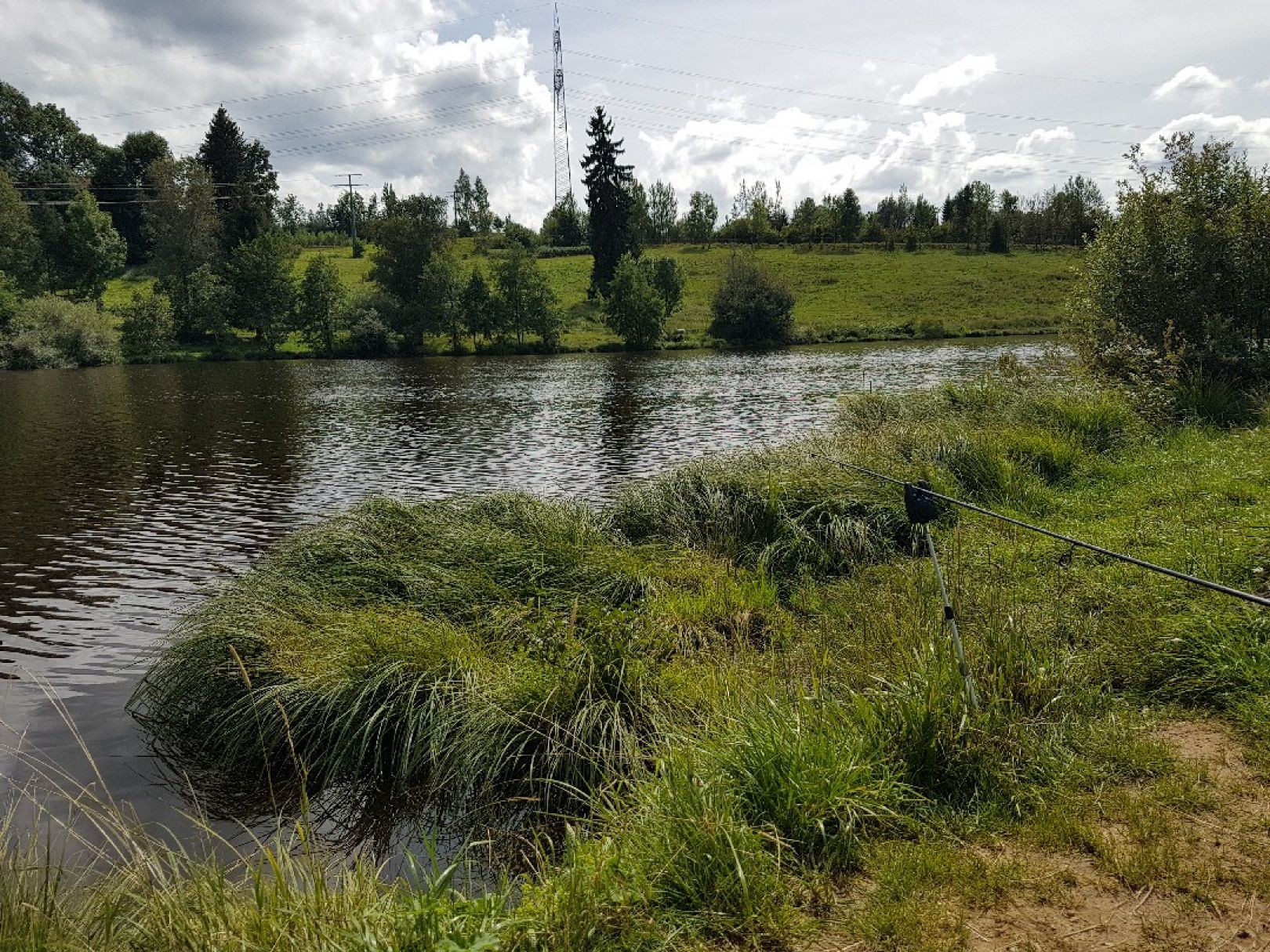 Sticher Weiher (Oy - Mittelberg) angeln