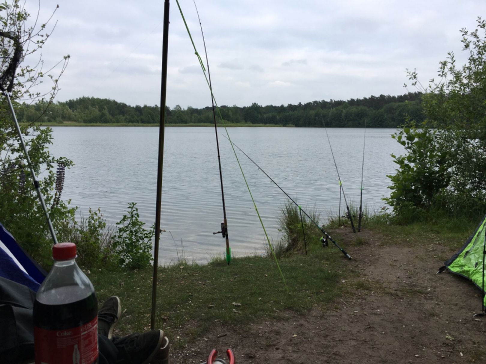 Großer Heidesee (Bad Laer) angeln
