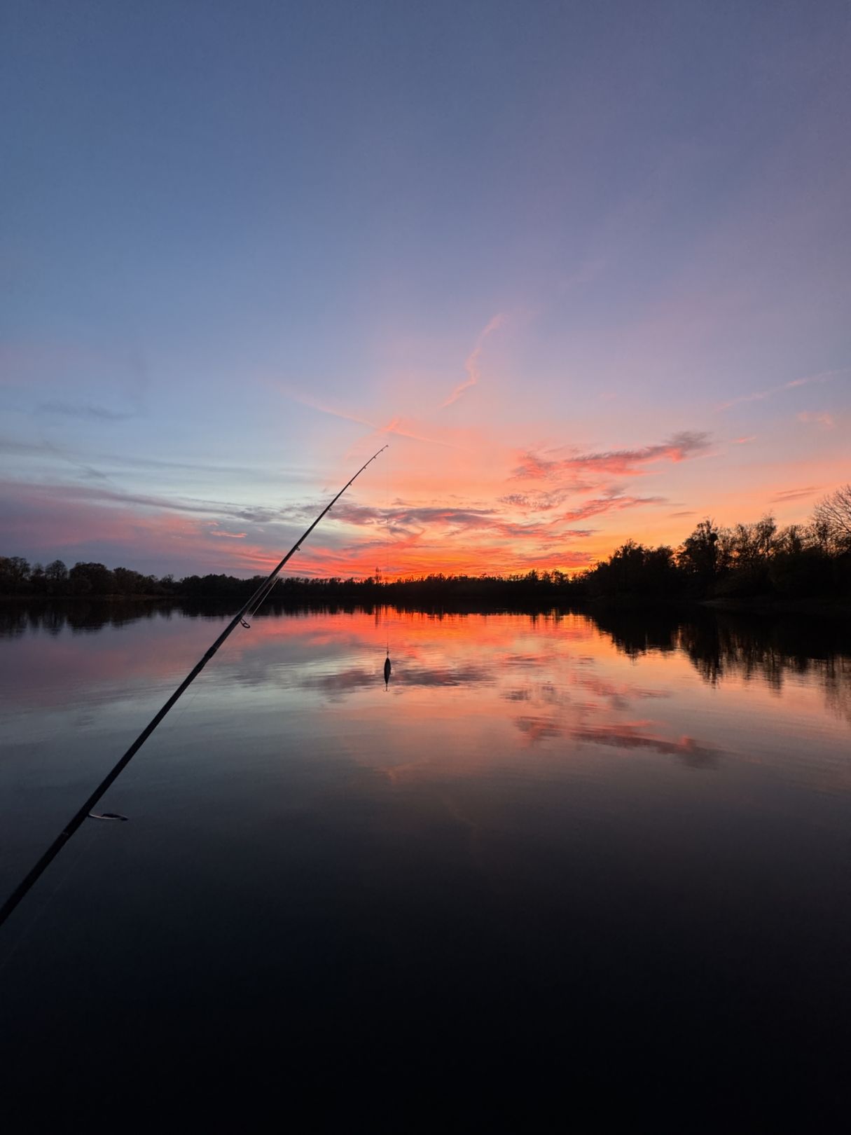 Südfeldsee 1 (Rinteln) angeln