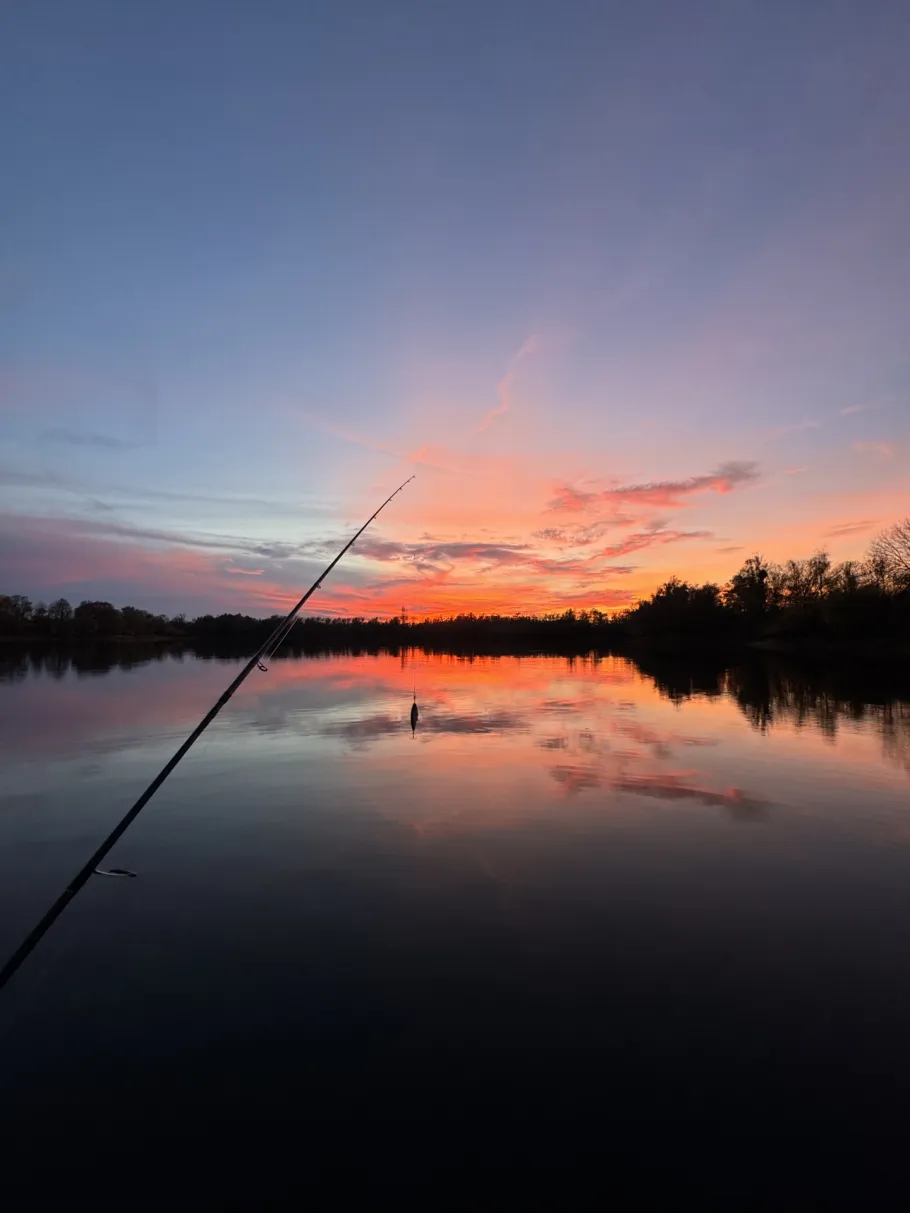 Südfeldsee 1 (Rinteln) angeln