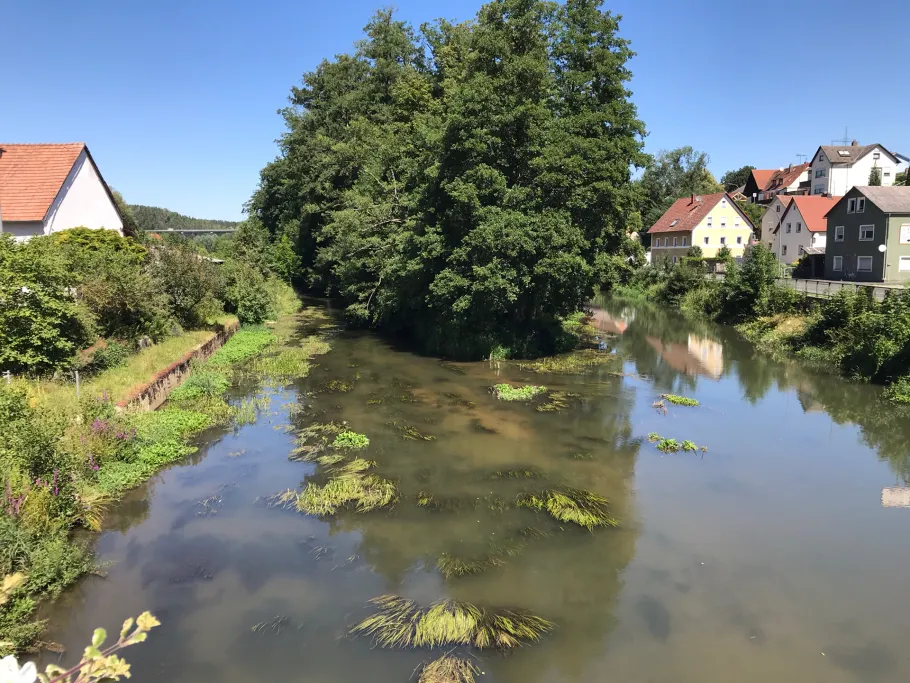 Vils (Theuern) angeln