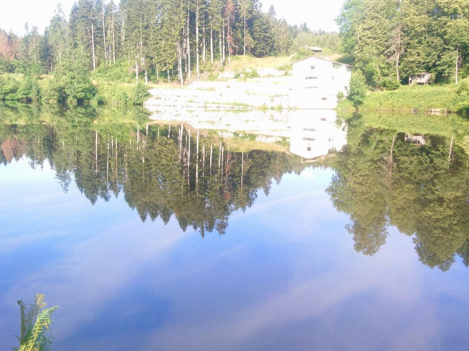 Erlau-Stauseen (Büchlberg) angeln