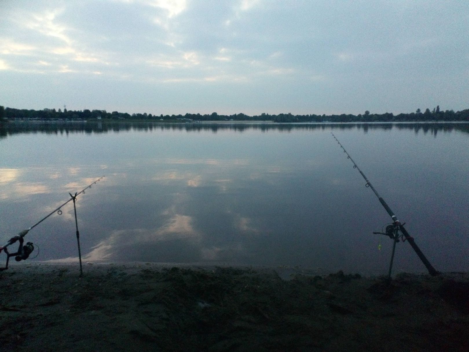 Wisseler See angeln