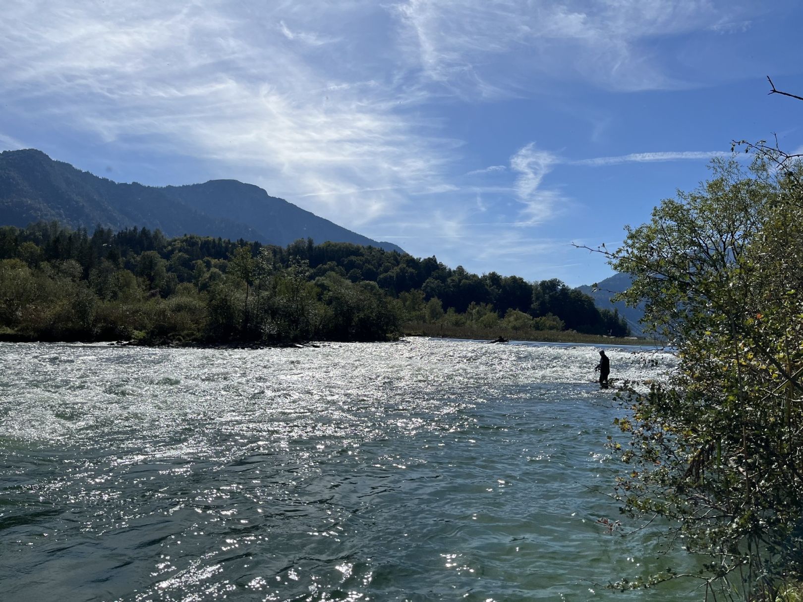 Loisach (Kochel am See) angeln