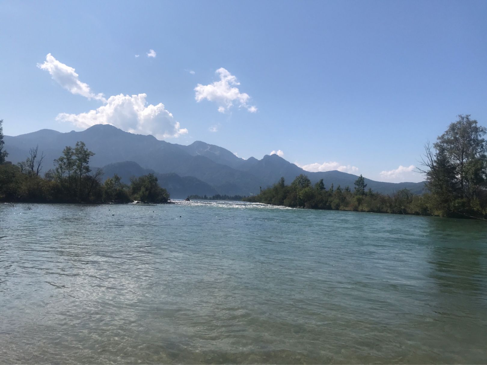 Loisach (Kochel am See) angeln