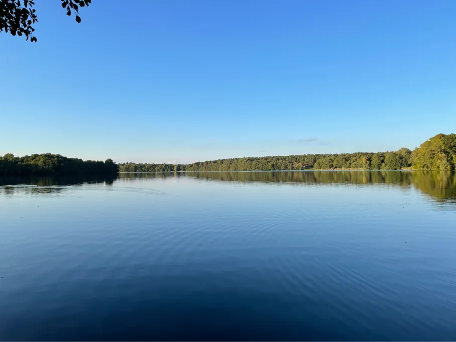 Wurlsee (Lychen) angeln