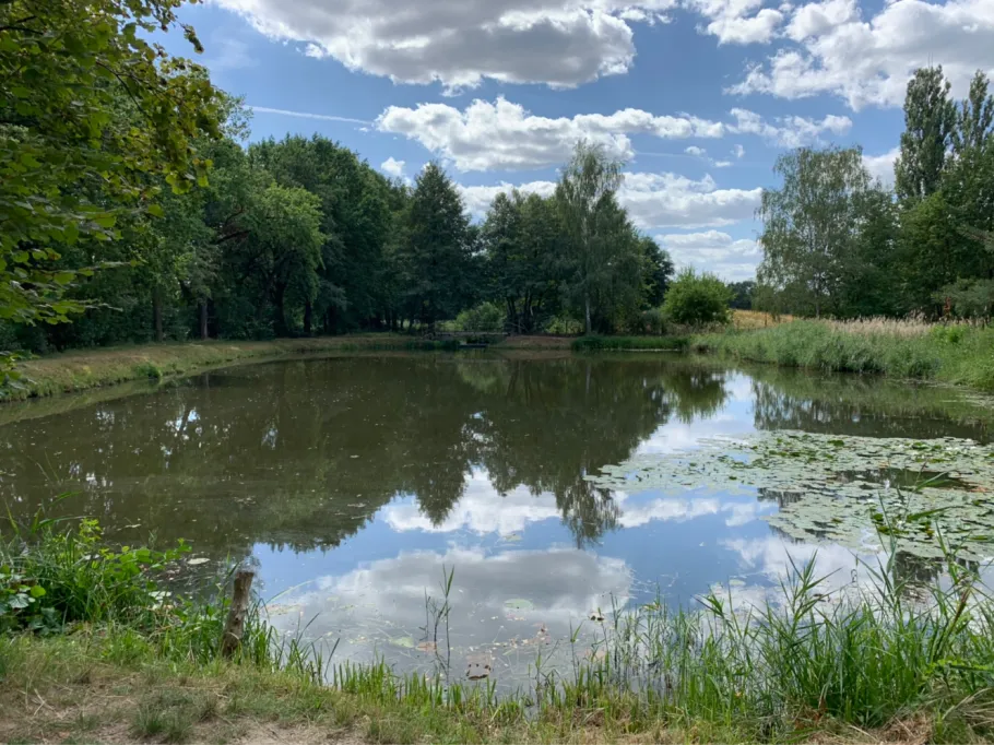 Sportzentrum-Teich Calau angeln