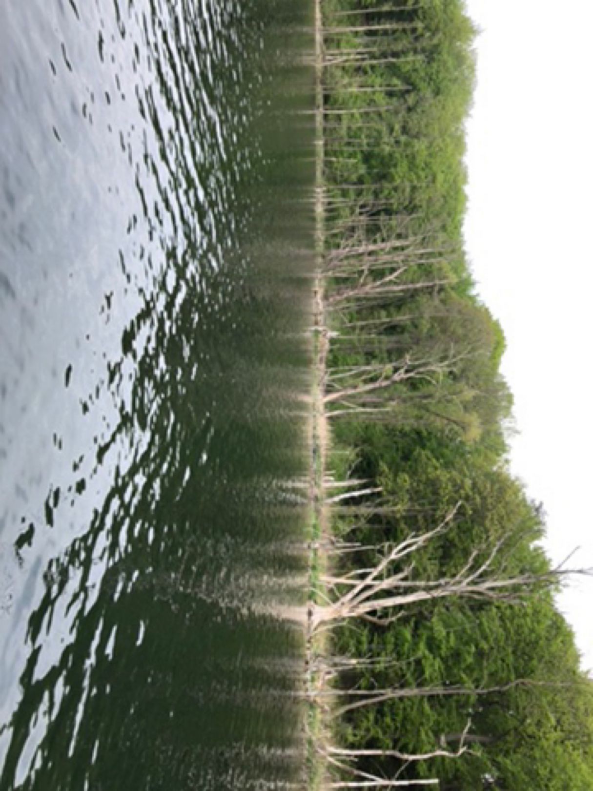 Wolgastsee angeln