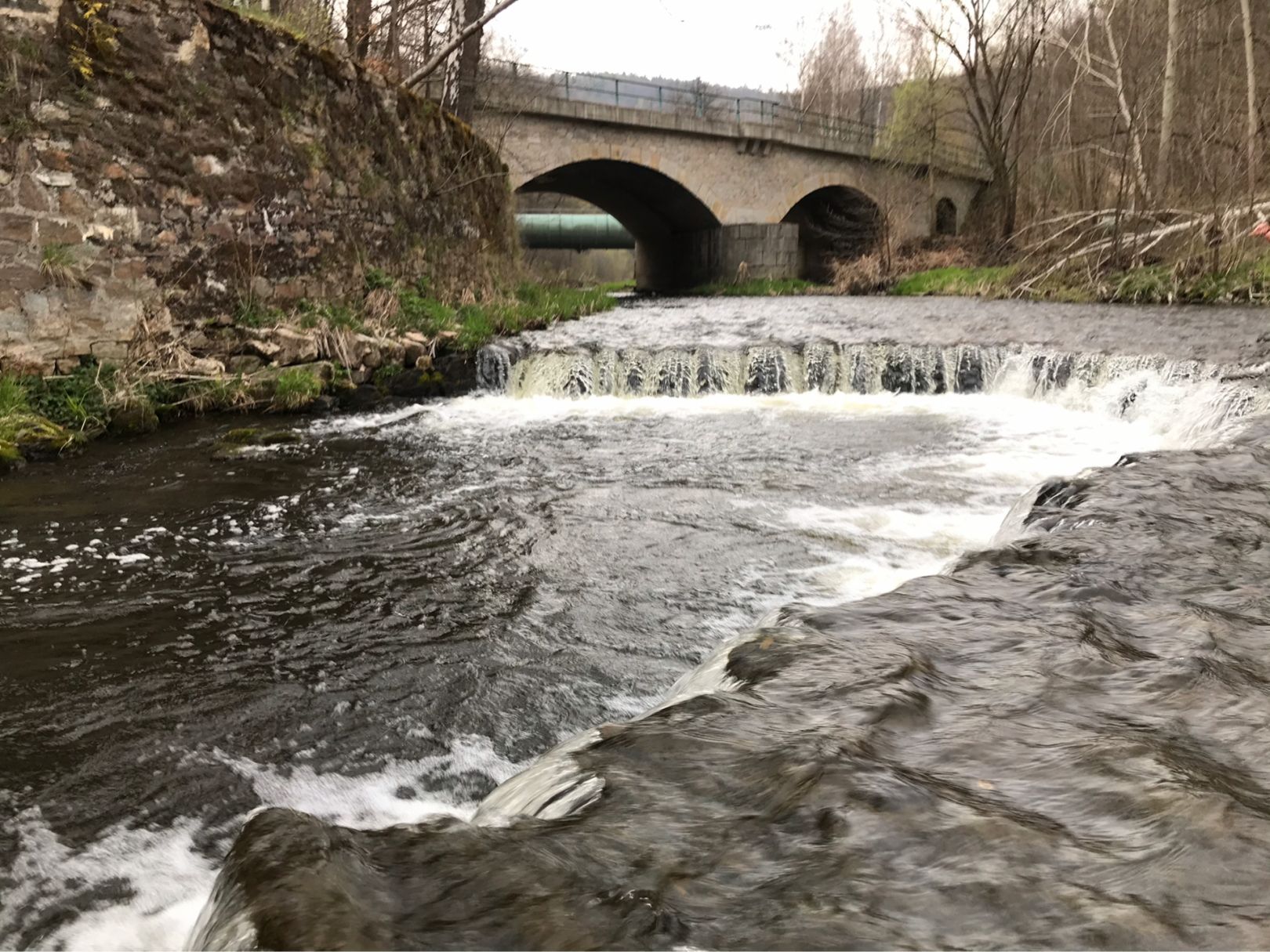 Schwarzwasser (Aue) angeln