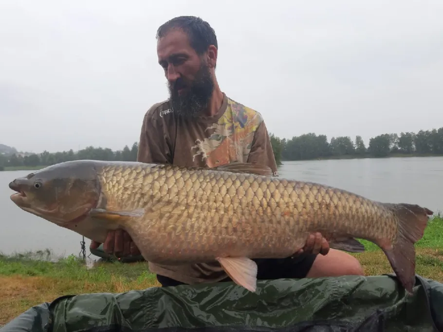 Rädlinger See (Satzdorfer See) angeln