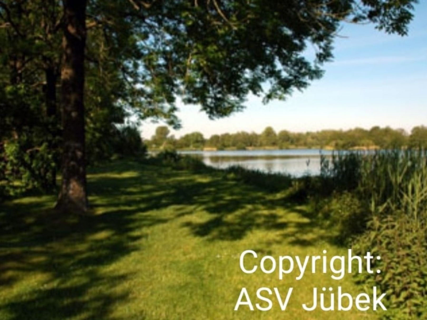 Mühlenteich (Bollingstedt) angeln