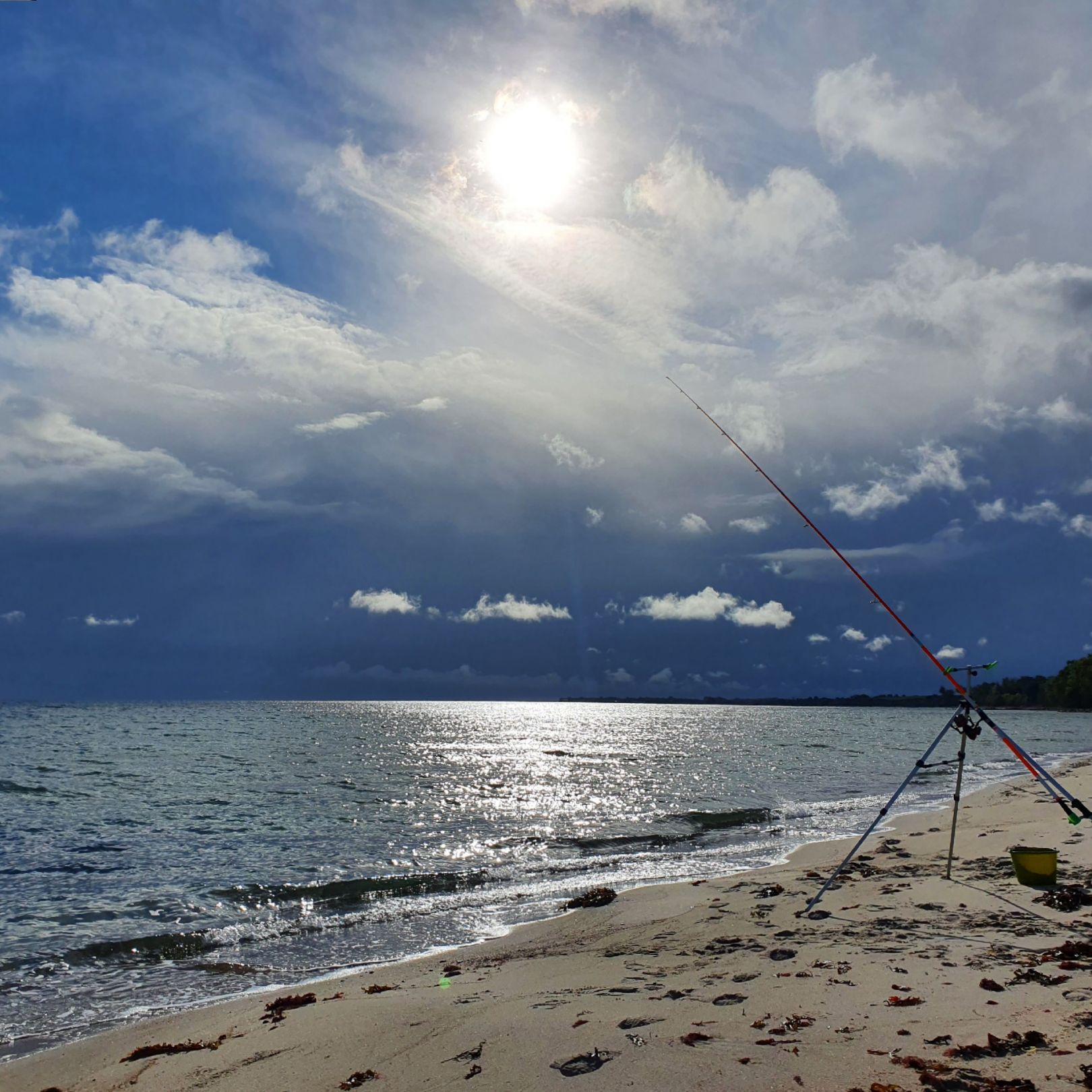 Ostsee (Mommark) angeln