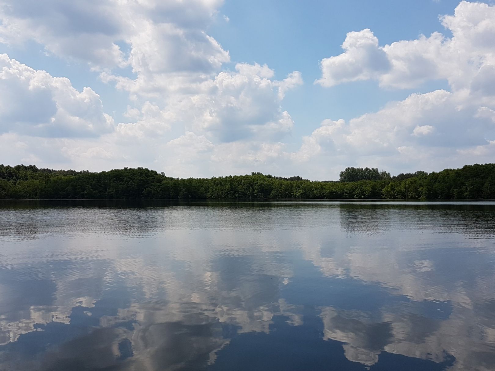 Pätzer Vordersee angeln