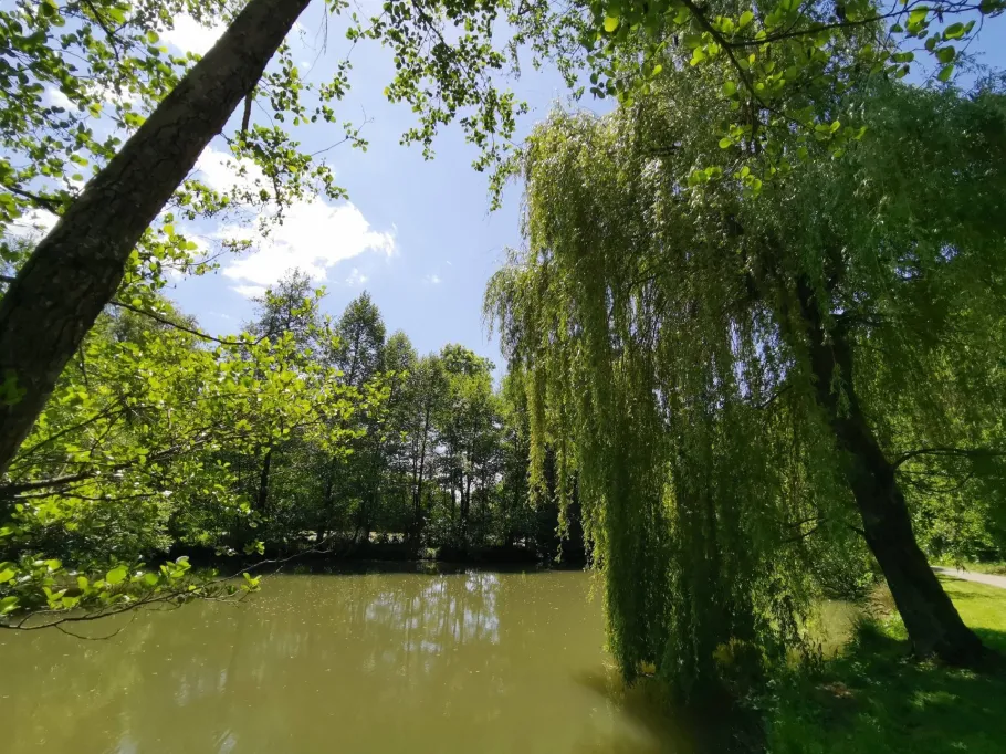 Natursee Henkersbrunnen angeln