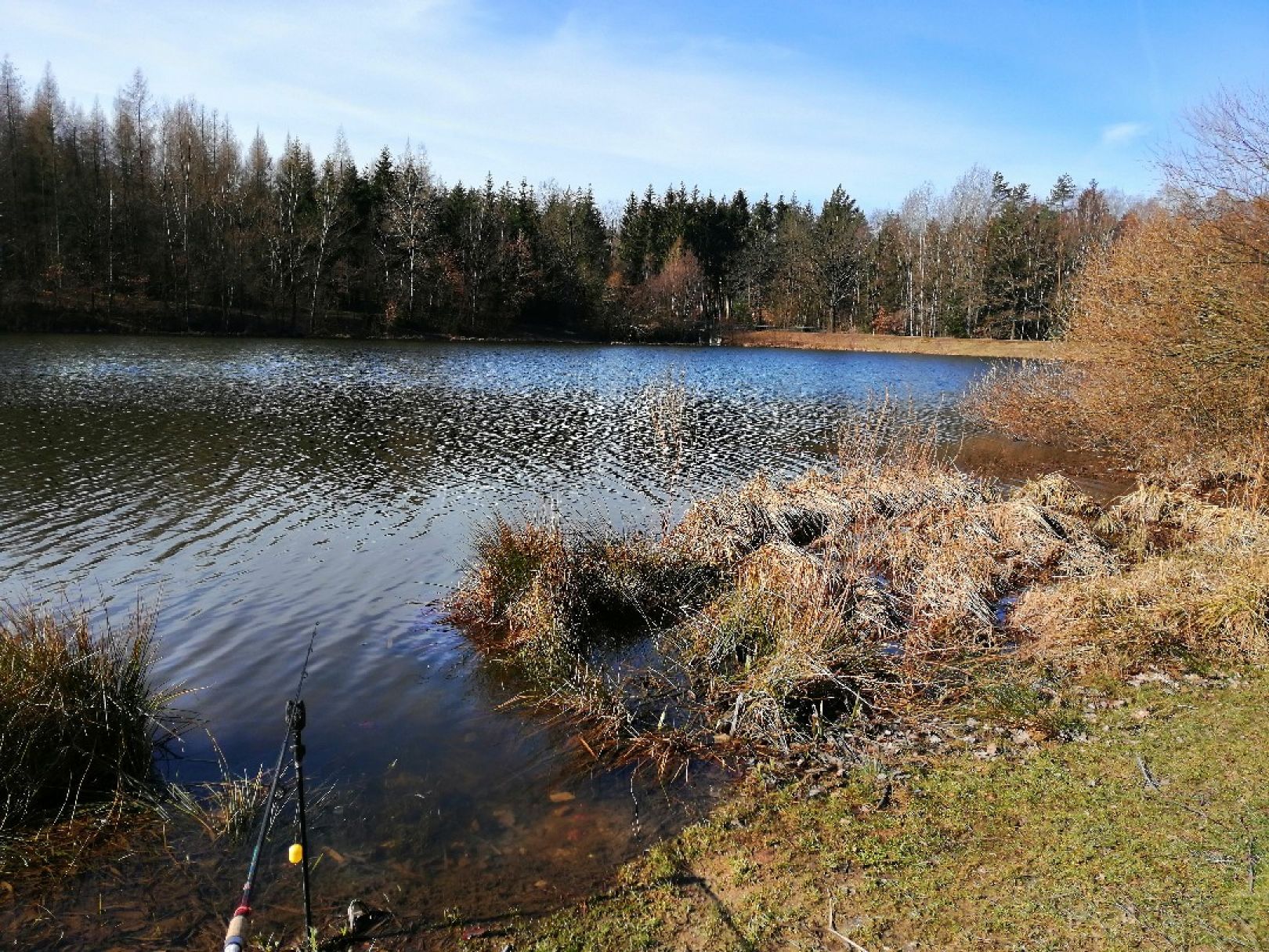 Heidemühlenteich angeln