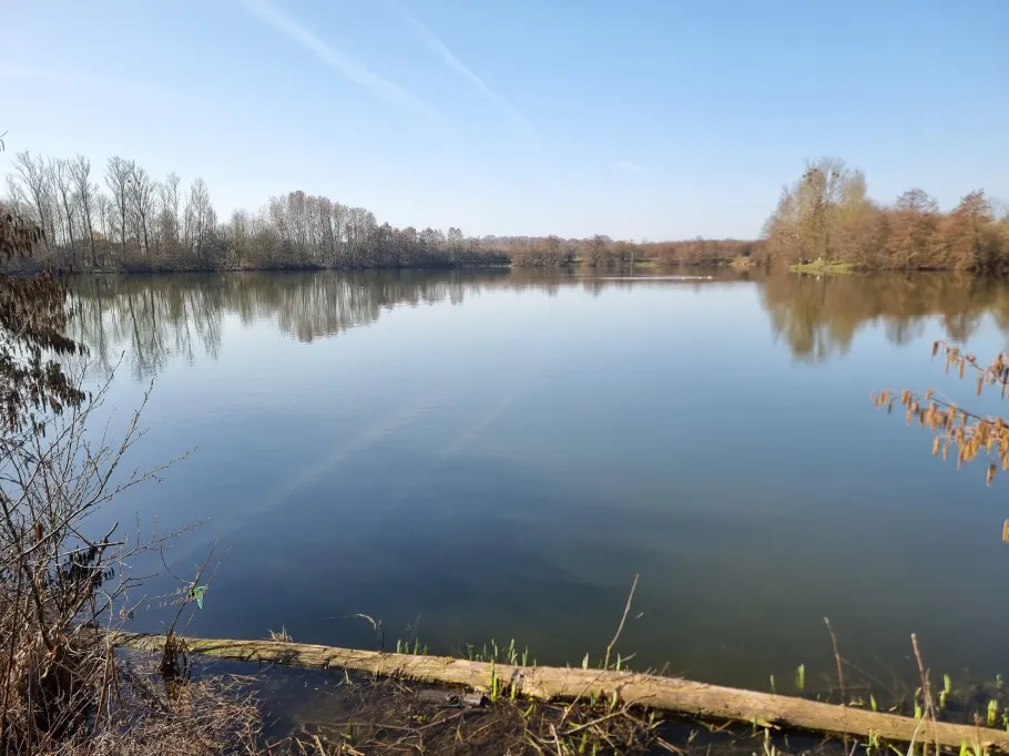 Baggersee II (Maintal-Dörnigheim) angeln