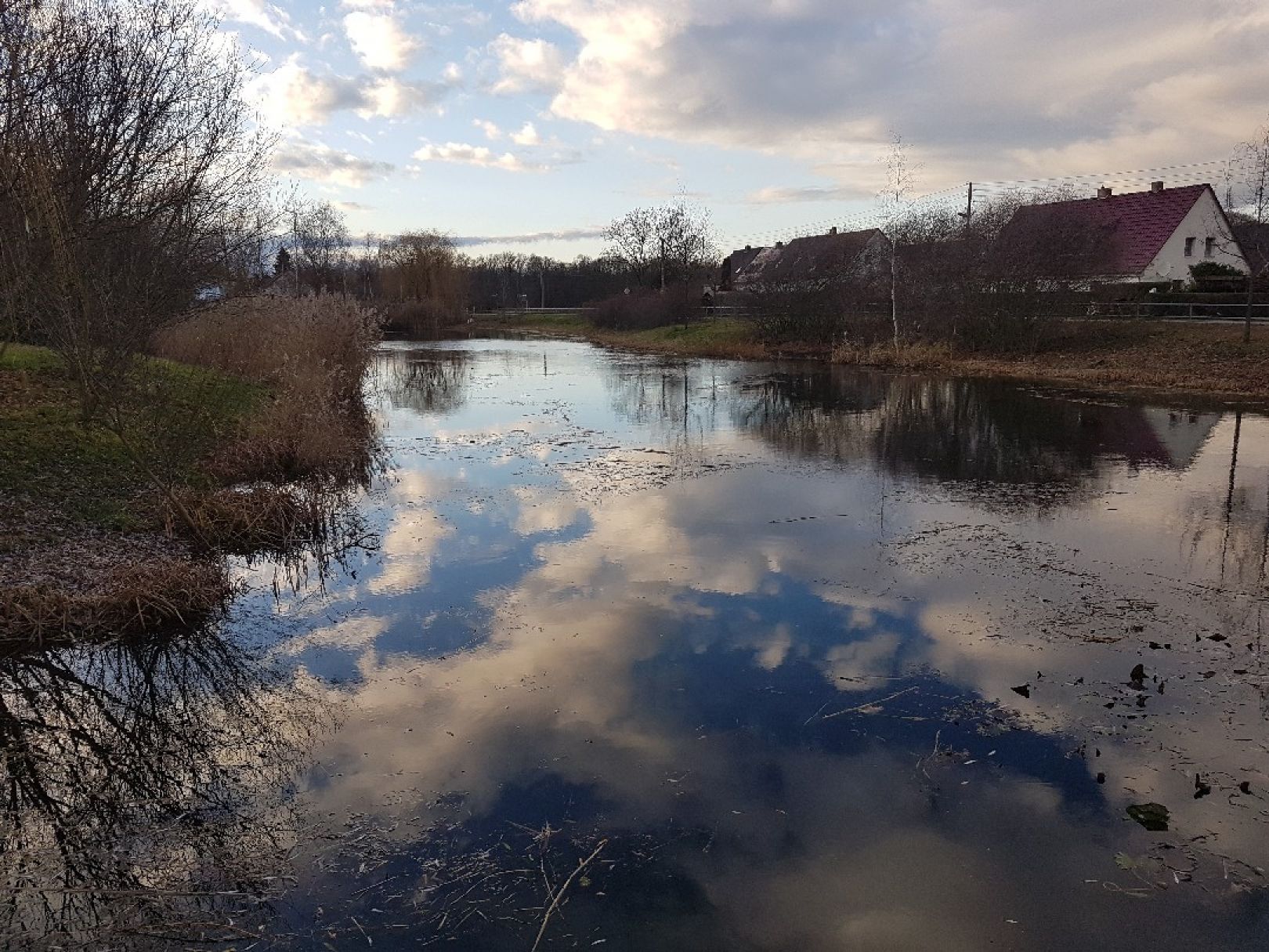 Dorfteich Gundorf angeln