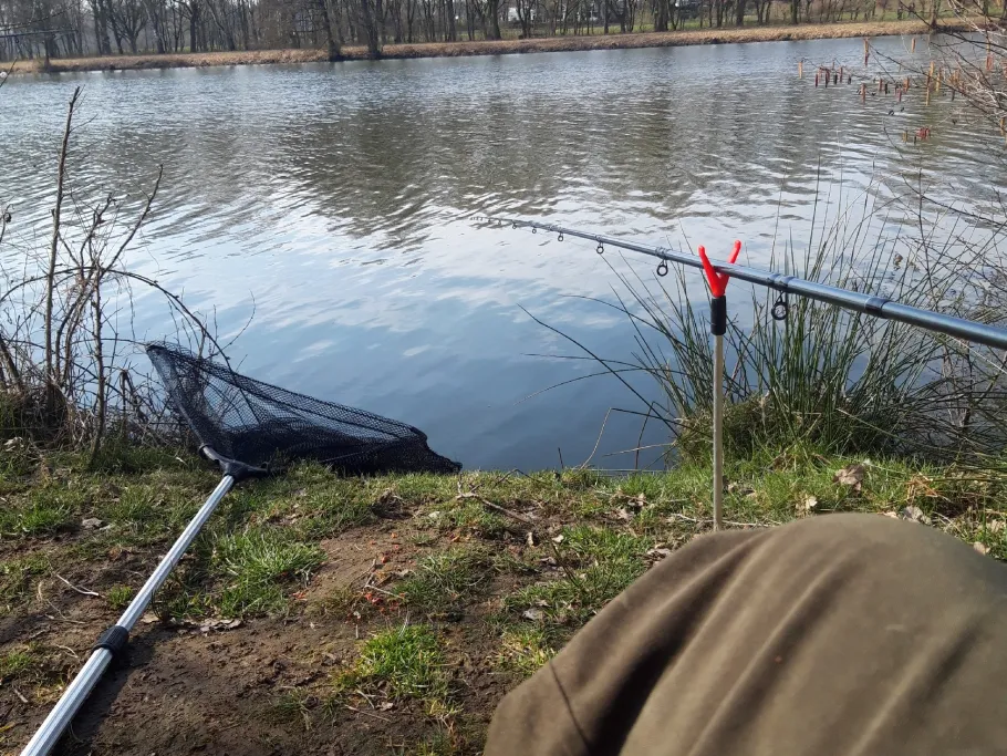Haselünner See angeln