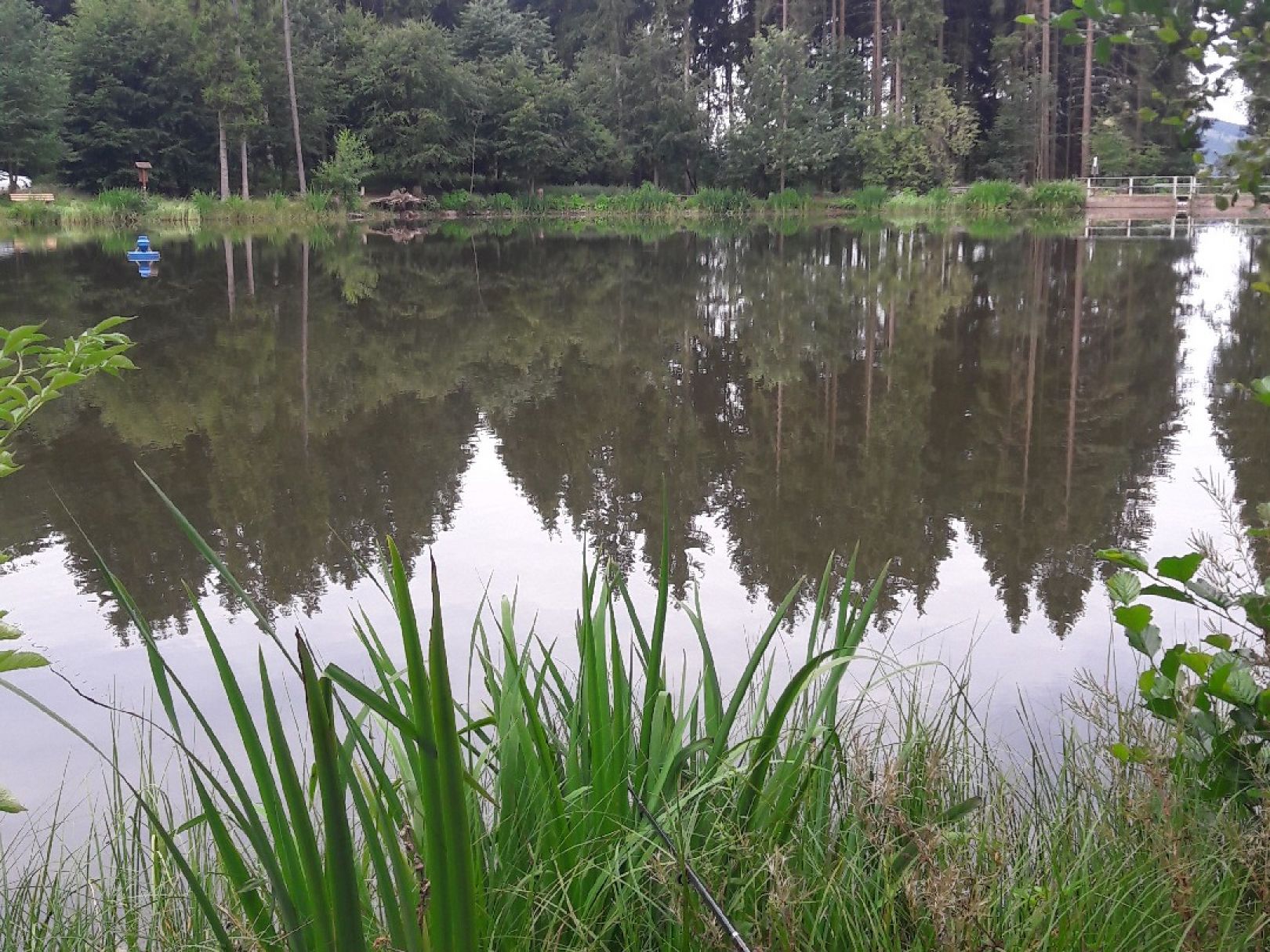 Rothsee (Bischofsheim an der Rhön) angeln
